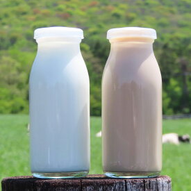 【ふるさと納税】山形県産 やまべ牛乳セット (牛乳 1L×3・コーヒー牛乳 900ml×1) F20A-222