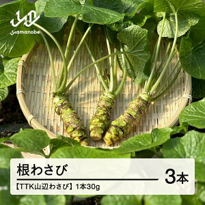 yӂ邳Ɣ[ŁzqTTKRӂ킳сr킳 R` R  tk-nwxx Eւ̔zs