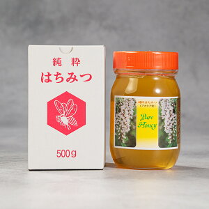 yӂ邳Ɣ[Łz I AJVA ݂͂ rl 500g Y R`Y  oi-hnacx500