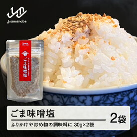 【ふるさと納税】ごま味噌塩 2個入 山形 山辺 ヤマキチ 送料無料 yk-gmxx2 ※沖縄・離島への配送不可