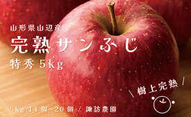 【ふるさと納税】 《先行予約》2024年 山形県産 完熟 サンふじ りんご 特秀品 5kg 14～20個 2024年12月上旬から順次発送 リンゴ フルーツ F20A-903