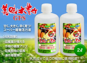 yӂ邳Ɣ[Łz A͉t L  GT-S 2L(1L×2) 엿 |   앨 F21A-422