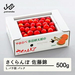 yӂ邳Ɣ[Łz ss\t 2026N R`Y  ol(pbNj500g ܂̂בckŶ TN{ c_ \ t[c  ʕ fU[g R` RӒ 
