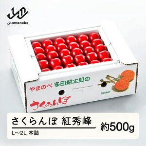 yӂ邳Ɣ[Łz ss\t 2026N R`Y  gG 500g L~2L {l ܂̂בckŶ c_ \ TN{ t[c  ʕ fU[g R` R