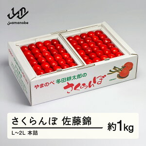 yӂ邳Ɣ[Łz ss\t 2026N R`Y  {l L~2L 1kg ܂̂בckŶ TN{  F20A-053