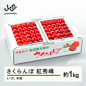 【ふるさと納税】 《先行予約》 2026年 山形県産 紅秀峰 本詰約1kg L~2L やまのべ多田耕太郎のさくらんぼ サクランボ 送料無料 F20A-054