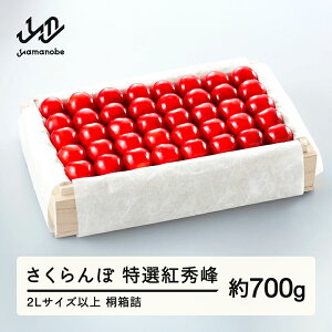 yӂ邳Ɣ[Łz ss\t 2026N R`Y IgG ˔l 700g 2Lȏ ܂̂בckŶ TN{ Mtg  蕨  F20A-056