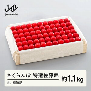 yӂ邳Ɣ[Łz ss\t2026N R`Y I ˔l 1100g ܂̂בckŶ TN{  F20A-060
