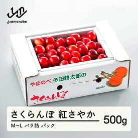 【ふるさと納税】 《先行予約》2026年 山形県産 紅さやか バラ詰め(パック）500g M~L やまのべ多田耕太郎のさくらんぼ サクランボ 送料無料 F21A-393