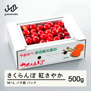 yӂ邳Ɣ[Łz ss\t2026N R`Y g₩ ol(pbNj500g M~L ܂̂בckŶ TN{  F21A-393