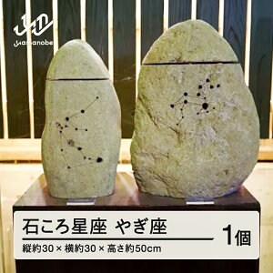 yӂ邳Ɣ[Łzy󒍐Yz΂됯(€)  F20A-710