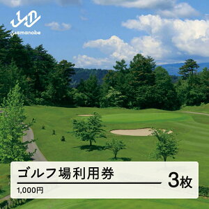 yӂ邳Ɣ[ŁzR`Sty Stꗘp 񕍋z 10000~(p3z) R`RӒ  F20A-739
