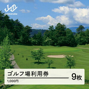 yӂ邳Ɣ[ŁzR`Sty Stꗘp 񕍋z 30000~(p3z) R`RӒ  F20A-741