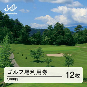 yӂ邳Ɣ[ŁzR`Sty Stꗘp 񕍋z 40000~(p3z) R`RӒ  F20A-742