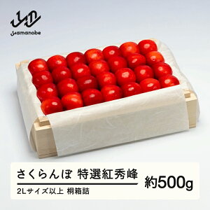 yӂ邳Ɣ[Łz ss\t2026N R`Y IgG ˔l 500g ܂̂בckŶ TN{ Mtg  蕨  F20A-790