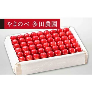 yӂ邳Ɣ[Łzs2026Ns\tyI_CAiuCgz˔l 1,100gy܂̂בckŶ c_zԌ ʌ R`Y TN{ t[c ʕ  