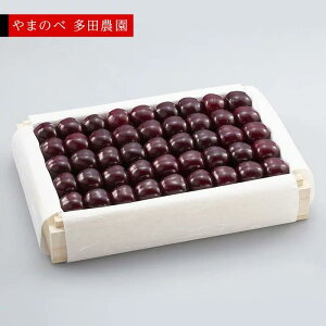 yӂ邳Ɣ[Łzs2026Ns\tyIT~bgz˔l 1,100gy܂̂בckŶ c_zԌ ʌ R`Y TN{ t[c ʕ   F4A-0