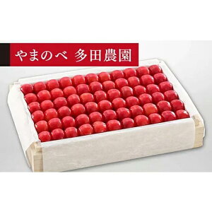 yӂ邳Ɣ[Łzs2026Ns\tyIсz˔l 1,100gy܂̂בckŶ c_zԌ ʌ R`Y TN{ t[c ʕ   F4A-0011