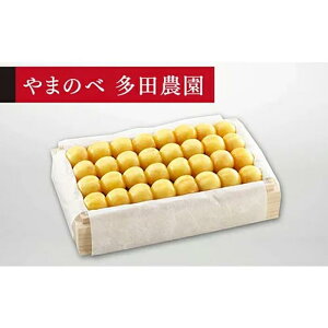 yӂ邳Ɣ[Łzs2026Ns\tyIRсz˔l 700gy܂̂בckŶ c_zԌ ʌ R`Y TN{ t[c ʕ   F4A-0012