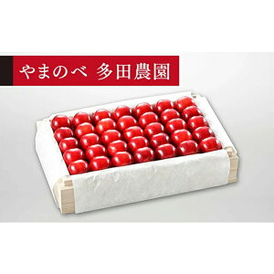 yӂ邳Ɣ[Łzs2026Ns\tyIu^Ẵr[gPvz˔l 700gy܂̂בckŶ c_zԌ ʌ 7{蔭 R`Y TN{ t