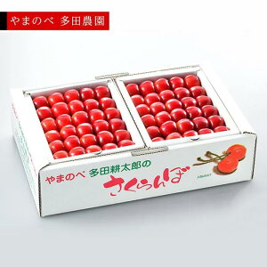 yӂ邳Ɣ[Łzs2026Ns\ty^Ẵr[gPzl 500g×2y܂̂בckŶ c_zԌ ʌ @7{蔭 R`Y TN{ t[c 