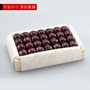 �y�ӂ邳�Ɣ[�Łz�s2026�N��s�\��t�y���I�T�~�b�g�z�˔��l ��700g�y��܂̂ב��c�k���Y�̂������� ���c�_���z���Ԍ��� ���ʌ��� �R�`���Y �T�N�����{ �t���[�c �ʕ� �������� ���� F4A-001