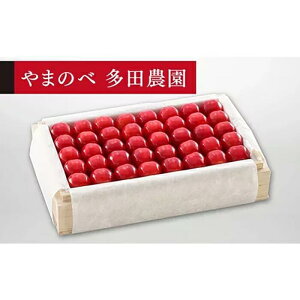 �y�ӂ邳�Ɣ[�Łz�s2026�N��s�\��t�y���I�����сz�˔��l ��700g�y��܂̂ב��c�k���Y�̂������� ���c�_���z���Ԍ��� ���ʌ��� �R�`���Y �T�N�����{ �t���[�c �ʕ� �������� ���� F4A-0018