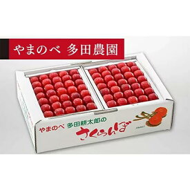 【ふるさと納税】《2024年先行予約》【佐藤錦】手詰 約500g×2【やまのべ多田耕太郎のさくらんぼ 多田農園】期間限定 数量限定 山形県産 サクランボ フルーツ 果物 くだもの F4A-0019