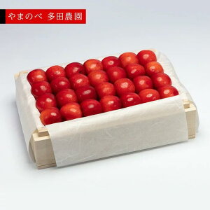 yӂ邳Ɣ[Łzs2026Ns\tyIgGz˔l 500gy܂̂בckŶ c_zԌ ʌ R`Y TN{ t[c ʕ   F4A-0021