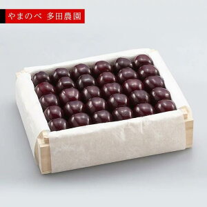 �y�ӂ邳�Ɣ[�Łz�s2026�N��s�\��t�y���I�T�~�b�g�z�˔��l ��500g�y��܂̂ב��c�k���Y�̂������� ���c�_���z���Ԍ��� ���ʌ��� �R�`���Y �T�N�����{ �t���[�c �ʕ� �������� ���� F4A-002