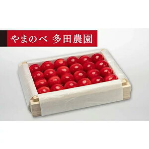 �y�ӂ邳�Ɣ[�Łz�s2026�N��s�\��t�y���I�_�C�A�i�u���C�g�z�˔��l ��300g�y��܂̂ב��c�k���Y�̂������� ���c�_���z���Ԍ��� ���ʌ��� �R�`���Y �T�N�����{ �t���[�c �ʕ� �������� 