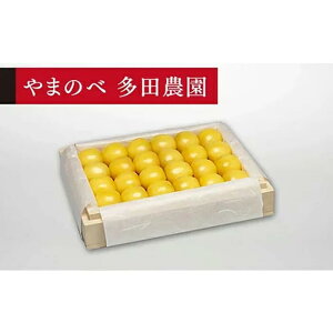 yӂ邳Ɣ[Łzs2026Ns\tyIRсz˔l 300gy܂̂בckŶ c_zԌ ʌ R`Y TN{ t[c ʕ   F4A-0025