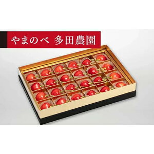 yӂ邳Ɣ[Łzs2026Ns\tyʂ̃_CAiuCgz݂є 24y܂̂בckŶ c_zԌ ʌ R`Y TN{ t[c ʕ 