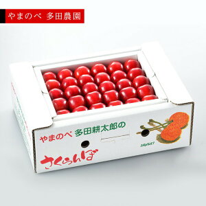 �y�ӂ邳�Ɣ[�Łz�s2026�N��s�\��t�y�^�Ẵ��r�[�g�P�z��l ��500g�y��܂̂ב��c�k���Y�̂������� ���c�_���z���Ԍ��� ���ʌ��� 7����{��蔭�� �R�`���Y �T�N�����{ �t���[�c �ʕ� 