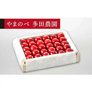 �y�ӂ邳�Ɣ[�Łz�s2026�N��s�\��t�y���I�u�^�Ẵ��r�[�g�P�v�z�˔��l ��300g�y��܂̂ב��c�k���Y�̂������� ���c�_���z���Ԍ��� ���ʌ��� 7�����{��蔭�� �R�`���Y �T�N�����{ �t��