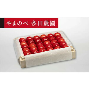 �y�ӂ邳�Ɣ[�Łz�s2026�N��s�\��t�y���I�g�G��z�˔��l ��300g�y��܂̂ב��c�k���Y�̂������� ���c�_���z���Ԍ��� ���ʌ��� �R�`���Y �T�N�����{ �t���[�c �ʕ� �������� ���� F4A-0031