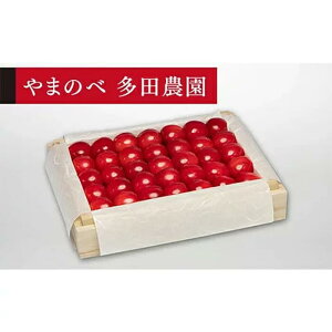 yӂ邳Ɣ[Łzs2026Ns\tyIсz˔l 300gy܂̂בckŶ c_zԌ ʌ R`Y TN{ t[c ʕ   F4A-0033