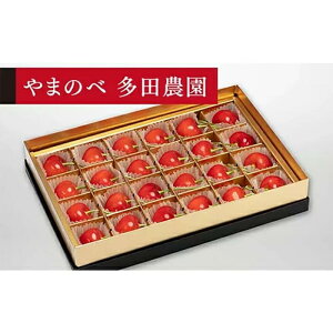 yӂ邳Ɣ[Łzs2026Ns\tyʂ̍gGz݂є 24y܂̂בckŶ c_zԌ ʌ R`Y TN{ t[c ʕ   F4A-00