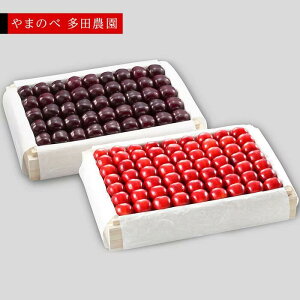 yӂ邳Ɣ[Łzs2026Ns\tygPET~bgzI˔l 1,100g×2y܂̂בckŶ c_zԌ ʌ @7{蔭 R`Y TN{ t