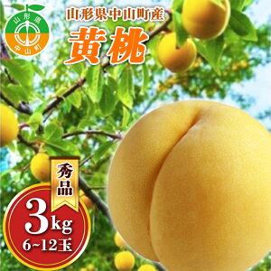 yӂ邳Ɣ[Łzy2026Ns\zR`RY i킨܂iAXC[gA̋ɂ݁AM jGi 3kg Ԍ ʌ R`Y   t[c ʕ F4A-