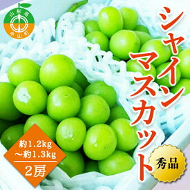 【ふるさと納税】【2024年先行予約】山形県中山町産シャインマスカット 秀品 約1.2kg～約1.3kg(2房) 期間限定 数量限定 山形県産 フルーツ 高級 贅沢 ぶどう ブドウ 葡萄 F4A-0103