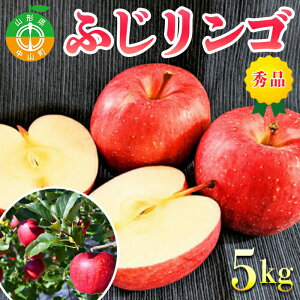 yӂ邳Ɣ[Łz y2025Ns\z R`RYӂSsGit 5kg Ԍ ʌ R`Y t[c  ʕ  ь F4A-0104