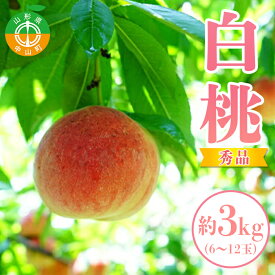 【ふるさと納税】【2024年先行予約】山形県中山町産白桃 約3kg(6玉～12玉) 期間限定 数量限定 山形県産 フルーツ くだもの 果物 もも モモ F4A-0107