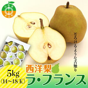 yӂ邳Ɣ[Łzy2025Ns\zR`Y m EtX 5kg(14`18) Ԍ ʌ ʎ_ tX ʕ Hʎ t[c miV ʎ_ tX ʕ H