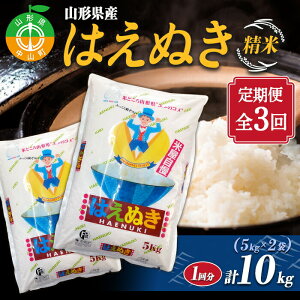 yӂ邳Ɣ[Łzyցzyߘa7NxYz R`Y@͂ʂ 5kg×2܌v10kg×3 2025N10菇 uh   ͂  ͂F4A-0504
