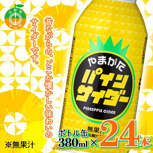 yӂ邳Ɣ[Łz܂pCTC_[ {g 380ml×24{  썑t[c năGA[ Y_ R` F4A-0263