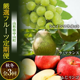 【ふるさと納税】 《先行予約》山形県中山町 厳選フルーツ定期便 秋冬 全3回【2024年9月開始】シャインマスカット ラ・フランス ふじリンゴ 葡萄 ぶどう ブドウ 洋ナシ 洋梨 洋なし ラフランス りんご 林檎 果物 くだもの フルーツ 連続 F4A-0371