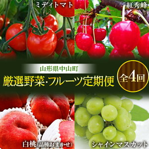 �y�ӂ邳�Ɣ[�Łz �s��s�\��t�R�`�����R�� ���I��؁E�t���[�c����ցy2026�N6���X�^�[�g�z �S4�� �~�f�B�g�}�g �g�G�� ���� �V���C���}�X�J�b�g �g�}�g �������� �T�N�����{ ���� �Ԃ�