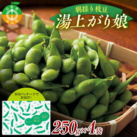 【ふるさと納税】【山形の極み】山形県中山町産 朝採り枝豆 湯上がり娘（250g×4） 贈答にもおすすめ 山形県産 おつまみ 朝どれ 新鮮 F4A-0306