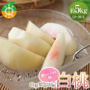 【ふるさと納税】 《2026年先行受付》山形県中山町産 白桃 秀品 5kg 品種おまかせ 軟らかくなる桃 12〜20玉 もも モモ フルーツ 果物 くだもの 山形県産 F4A-0379